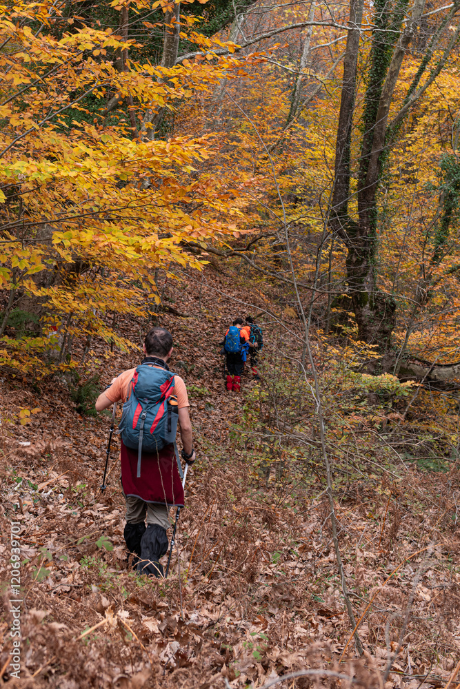 Naklejka premium Groups trekking through the forest in autumn. People walking on green land. Mountaineering in Turkey. People trekking on the Artemea road. Balıkesir, Türkiye.