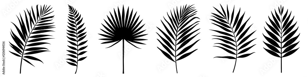 Obraz premium PNG Elegant tropical leaf silhouettes, element set on transparent background