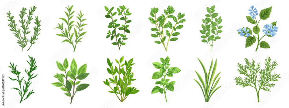 custom made wallpaper toronto digitalPNG Illustrated green herbs collection on transparent background
