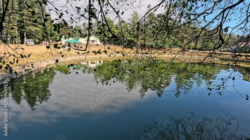 Gwaldam Lake in Uttarakhand, India: A Serene Forest Retreat in Chamoli's Deodar Woods photo