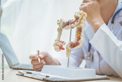 Cuadro en lienzo Male doctor treating intestinal diseases at a hospital table, discussing intesti