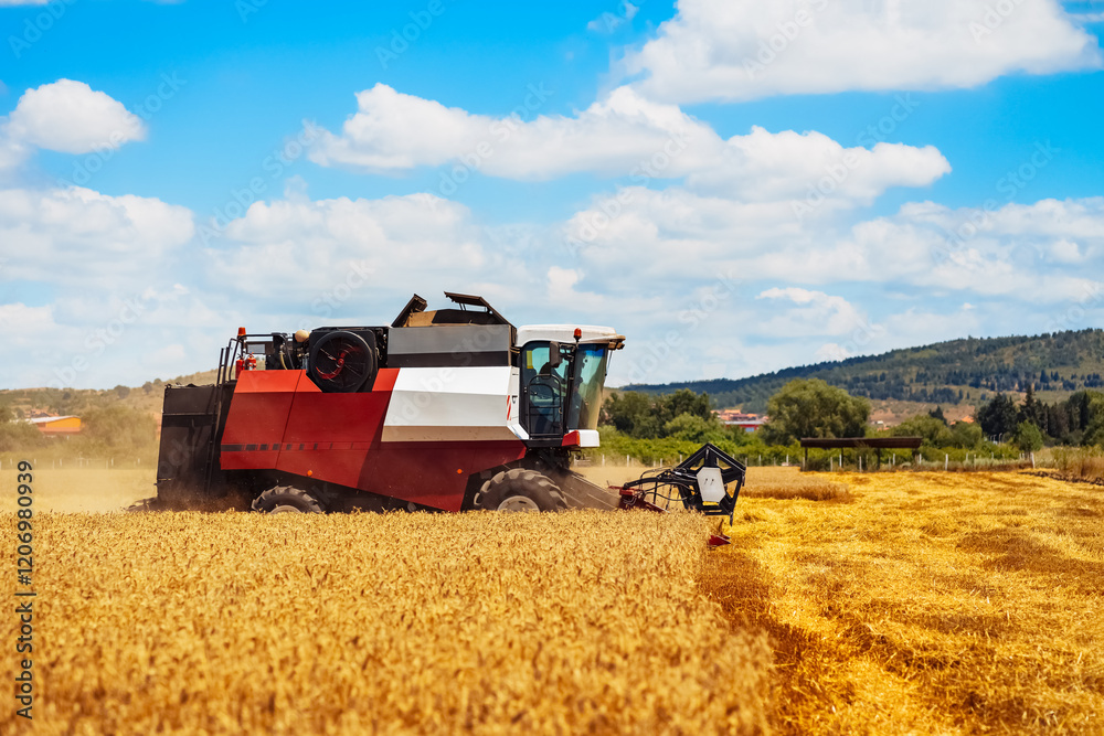 Obraz premium Modern combine harvester working on a sunny day in a golden wheat field