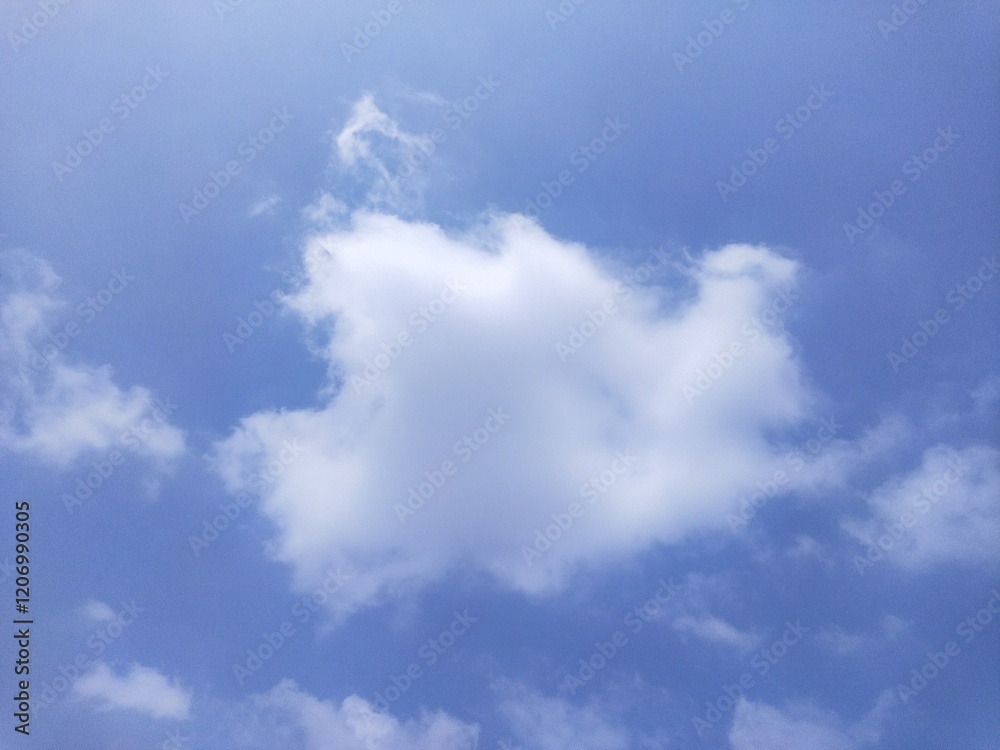 Obraz premium blue sky with mysterious bird shape visible in the cloud formation