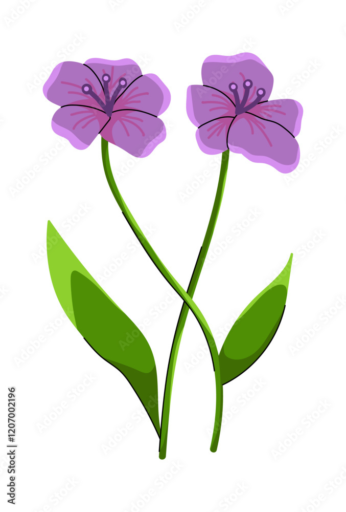 Obraz premium Blossom Flower Beautiful