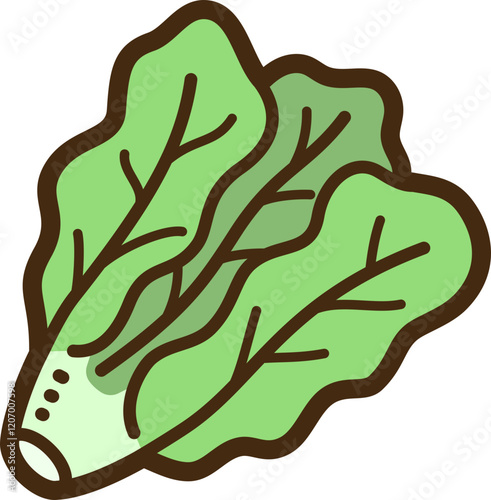 Lettuce vector doodle illustration and graphic