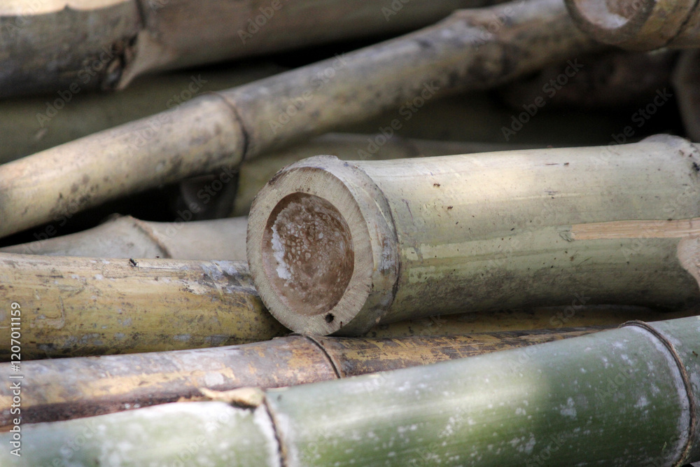 A close-up view of stacked bamboo poles, showcasing their natural texture and earthy tones.