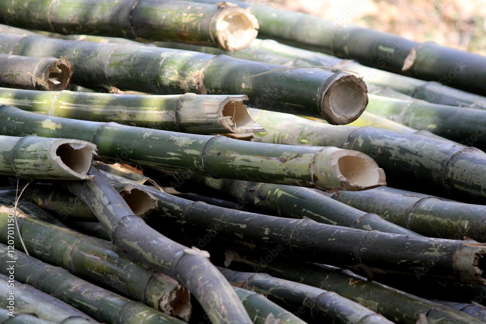 A close-up view of stacked bamboo poles, showcasing their natural texture and earthy tones. A close-up view of stacked bamboo poles, showcasing their natural texture and earthy tones.