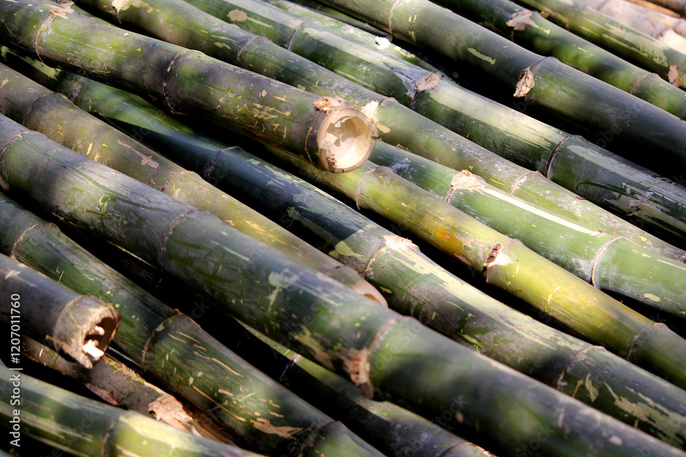 A close-up view of stacked bamboo poles, showcasing their natural texture and earthy tones. A close-up view of stacked bamboo poles, showcasing their natural texture and earthy tones.