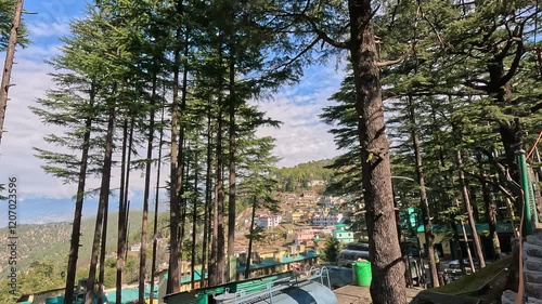 Gwaldam Town: Stunning Views Surrounded by Deodar Trees photo