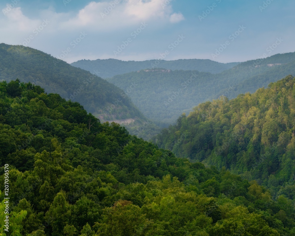 Ταπετσαρία Lush green forest with rolling hills and trees in West Virginia during summer
