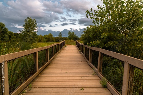 Wooden boardwalk through lush greenery under a dramatic cloudy sky in a serene park setting.