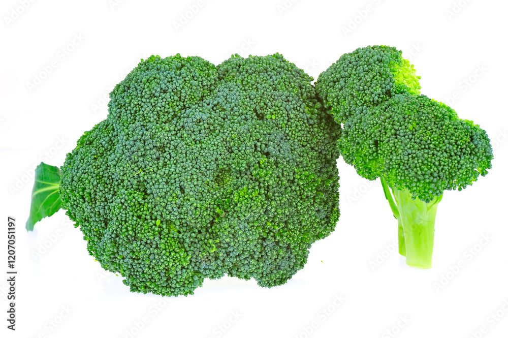 Vegetables broccoli on a white background Vegetables broccoli on a white background