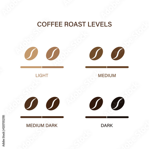 Coffee beans roasted levels light, medium, medium dark, dark isolated on white background. Vector flat illustration