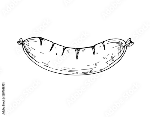 Vector grilled sausage. Graphic German bratwurst illustration isolated on background. Hand drawn line sketch. For designers, prints, postcards, wrapping paper, icon, octoberfest, holiday, covers