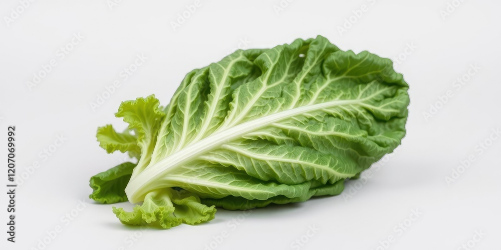 A sprig of romaine lettuce against a neutral-colored background, highlighting its intricate, lacy pattern and vibrant green hue, crisp, salad A sprig of romaine lettuce against a neutral-colored background, highlighting its intricate, lacy pattern and vibrant green hue, crisp, salad