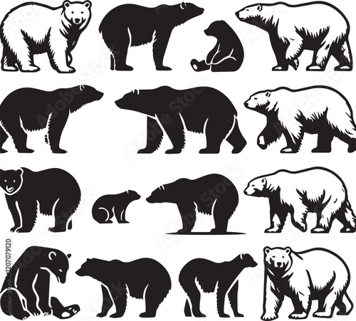 Bear vector in black and white