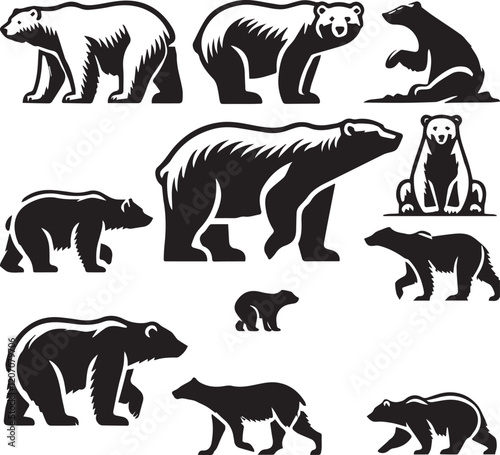 Bear vector in black and white