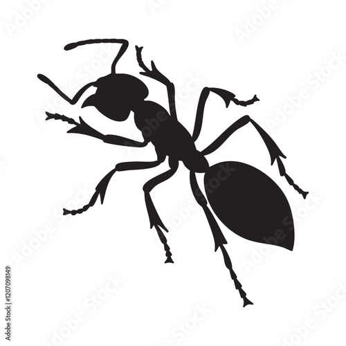Ant silhouette on white background