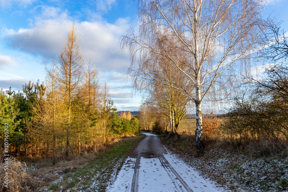 A paved road in the countryside. A cold, winter evening