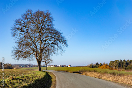 Obraz na płótnie A paved country road in Central Europe in early spring. w salonie