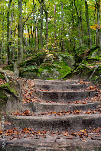 Scenic diversity of Mullerthal, Luxembourg's Little Switzerland, hiking routes, rock formations, moss-covered forests, tourist destination in Europe photo