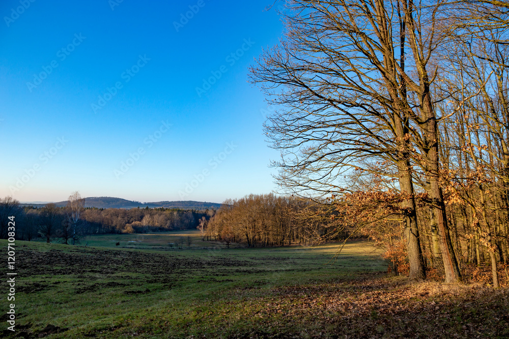 A rural landscape on an early spring evening. A rural landscape on an early spring evening.