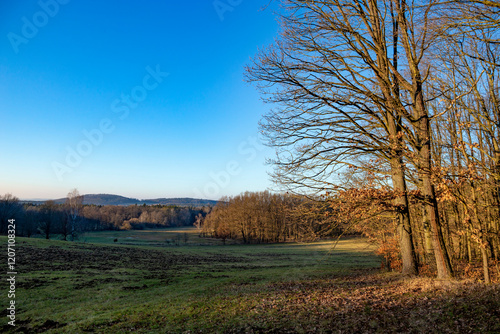 A rural landscape on an early spring evening.