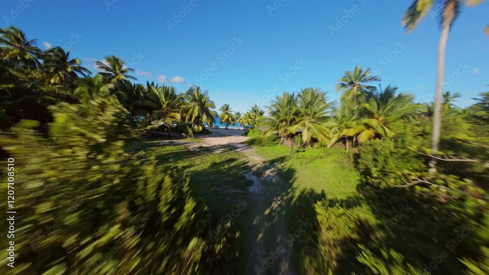FPV drone flies through palm forest and reveals La Rincon beach, Dominican Republic FPV drone flies through palm forest and reveals La Rincon beach, Dominican Republic