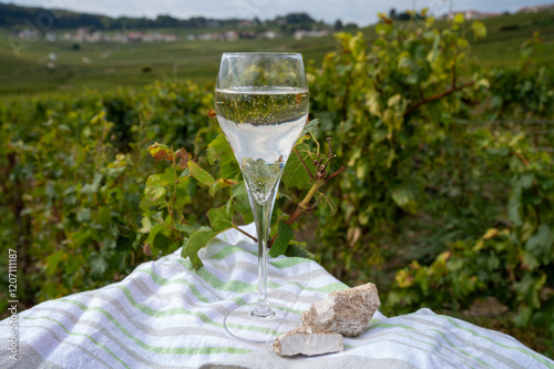 Tasting of grand cru sparkling brut white wine champagne on sunny vineyards of Cote des Blancs near village Cramant and Avize, Champagne, France photo