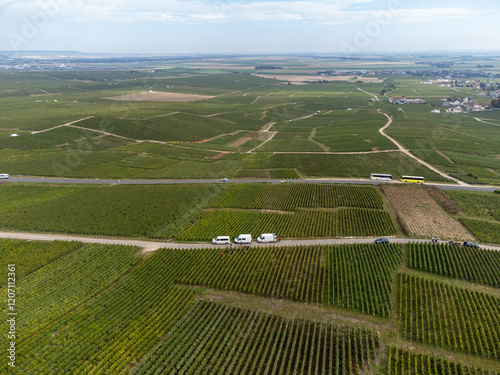 Aerial view on green grand cru vineyards near Cramant and Avize, region Champagne, France. Cultivation of white chardonnay wine grape on chalky soils of Cote des Blancs
