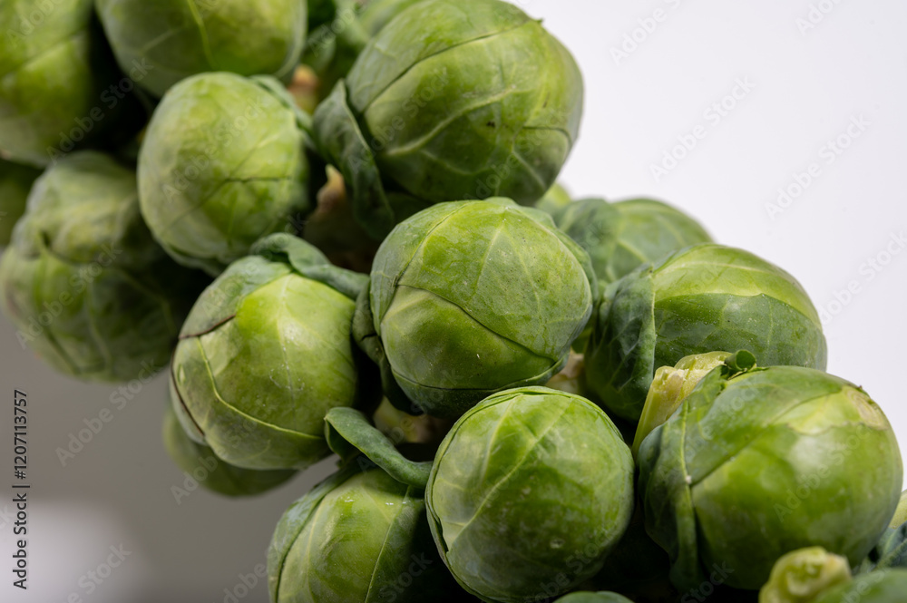 Green brussels sprouts on stalks on white table Green brussels sprouts on stalks on white table
