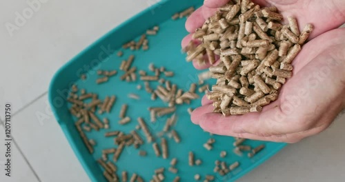 Man holds handful of wood pellets in palms pouring into tray. Male hands bring neat scoop of cat litter filling box. Granules flow slowly