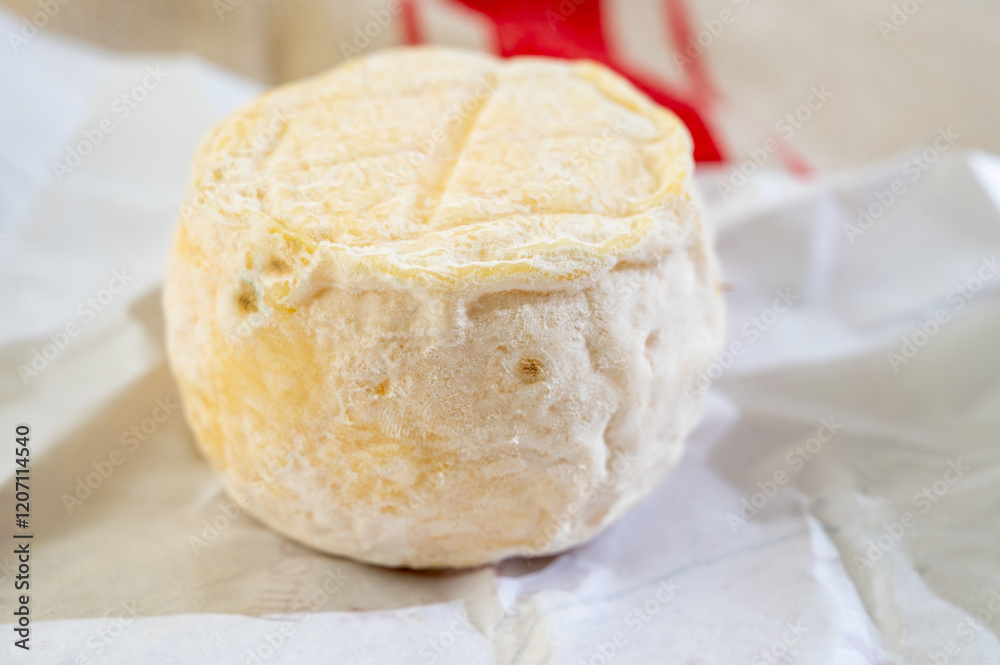 Cheese collection, soft goat French cheese with mold crottin de Chavignol produced near Sancerre on cheese farm, Loire Valley close up Cheese collection, soft goat French cheese with mold crottin de Chavignol produced near Sancerre on cheese farm, Loire Valley close up