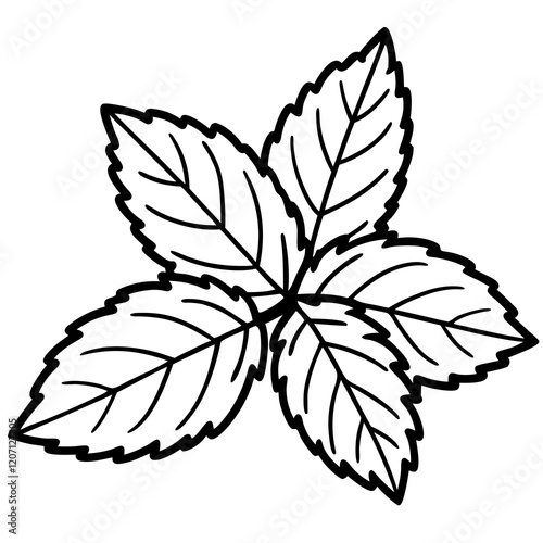 Mint Leaves Line Art Vector