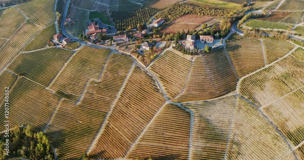 Aerial view of the hills with vineyards in autumn, Le Langhe wine region, Piedmont, Italy