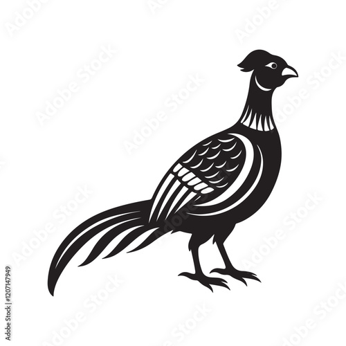 pheasant silhouette, black and white silhouette, vector and illustration