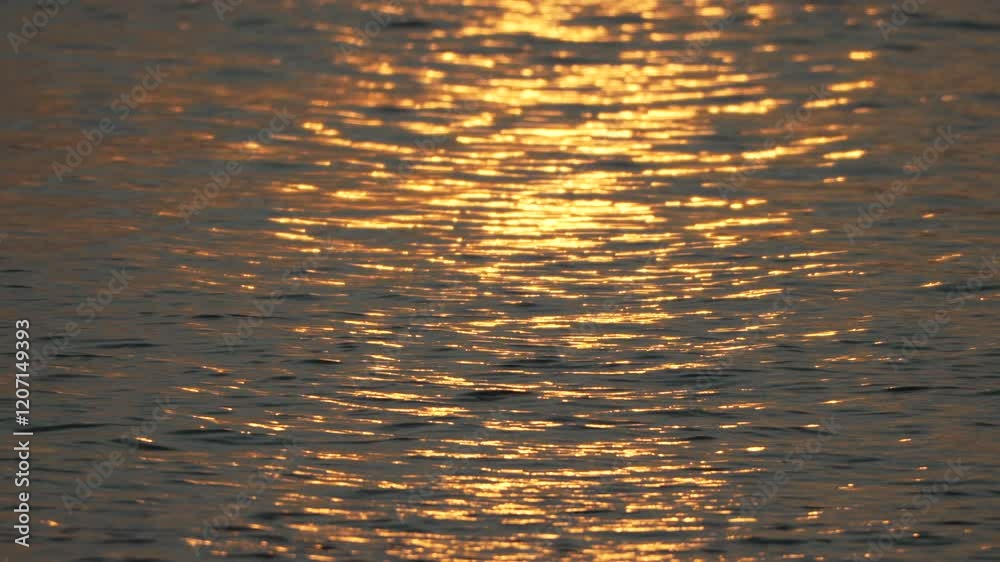 Sunset Water Reflection Gold: Evening golden sunlight reflecting on calm water surface, creating a mesmerizing pattern.