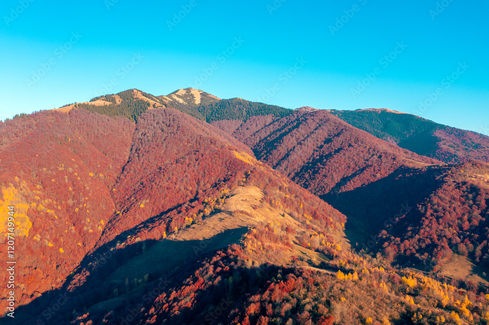 Panoramic view from above of colorful slopes of mountains on a sunny autumn day. Beautiful landscape. Carpathian mountains, view from Prislop pass, Ukraine