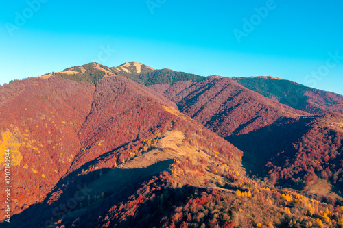 Obraz na płótnie Panoramic view from above of colorful slopes of mountains on a sunny autumn day. Beautiful landscape. Carpathian mountains, view from Prislop pass, Ukraine w salonie