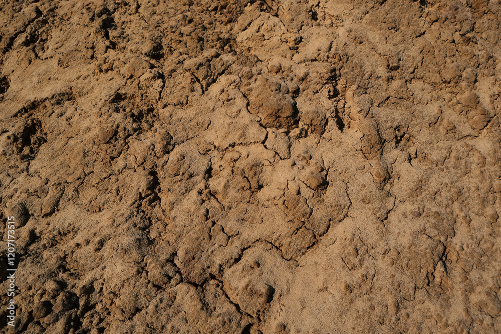 Soil texture background. Brown ground surface. Close up natural background Soil texture background. Brown ground surface. Close up natural background