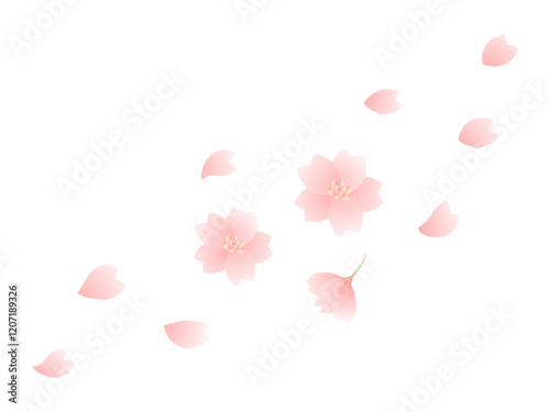 桜の花と花びらの桜吹雪のイラスト素材03