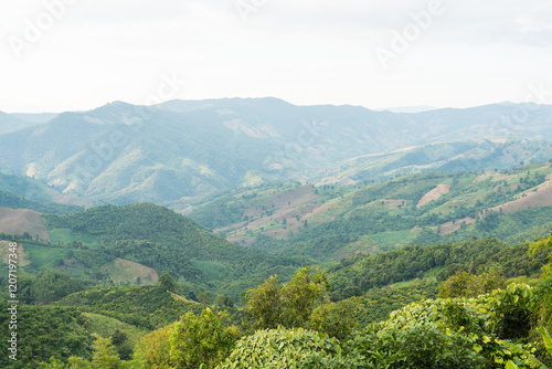 Aerial view. High mountain views and the verdant farmland of the countryside in  Sakat, Pua District, Nan, Thailand photo