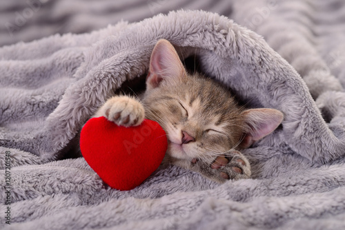 Obraz na płótnie Kitten with red heart. w salonie