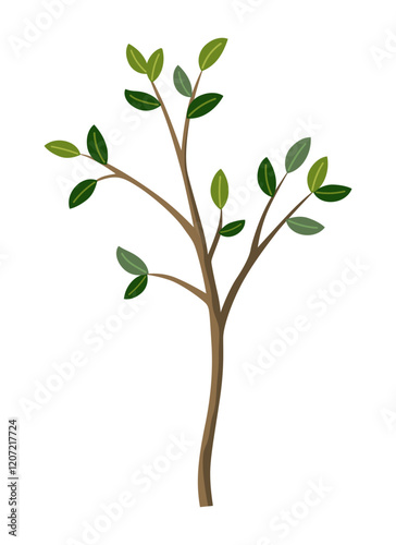 Life cycle of lemon tree. Vector young tree side view isolated on white background for landscape and architecture drawing, elements for environment and garden