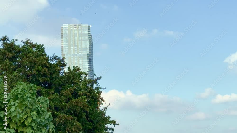 A dynamic view of a jet plane flying over a contemporary skyscraper with lush green foliage in the foreground, set against a clear blue Miami sky, embodying urban vibrancy and travel. A dynamic view of a jet plane flying over a contemporary skyscraper with lush green foliage in the foreground, set against a clear blue Miami sky, embodying urban vibrancy and travel.