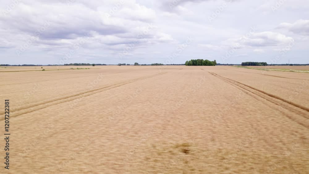 Aerial tracking left over crop fields stretching across flat farmland, highlighting rural agriculture and scenery Aerial tracking left over crop fields stretching across flat farmland, highlighting rural agriculture and scenery