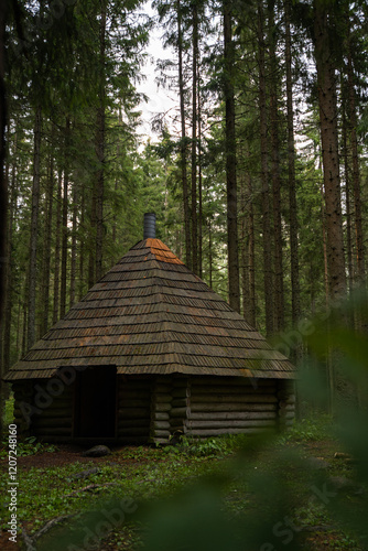 Rustic Wooden Cabin in Forest