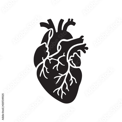 anatomical heart vector clip art flat design.