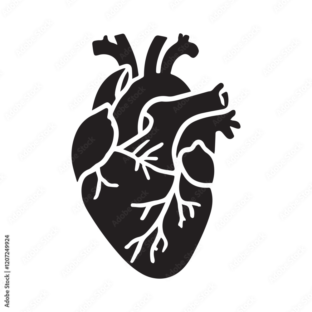 anatomical heart vector clip art flat design. anatomical heart vector clip art flat design.