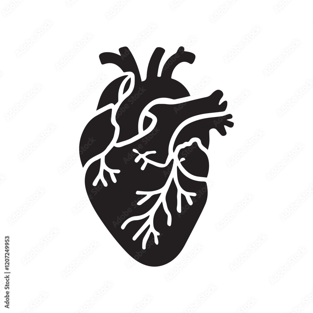 anatomical heart vector clip art flat design. anatomical heart vector clip art flat design.